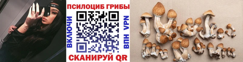 площадка телеграм  Шебекино  Псилоцибиновые грибы прущие грибы 